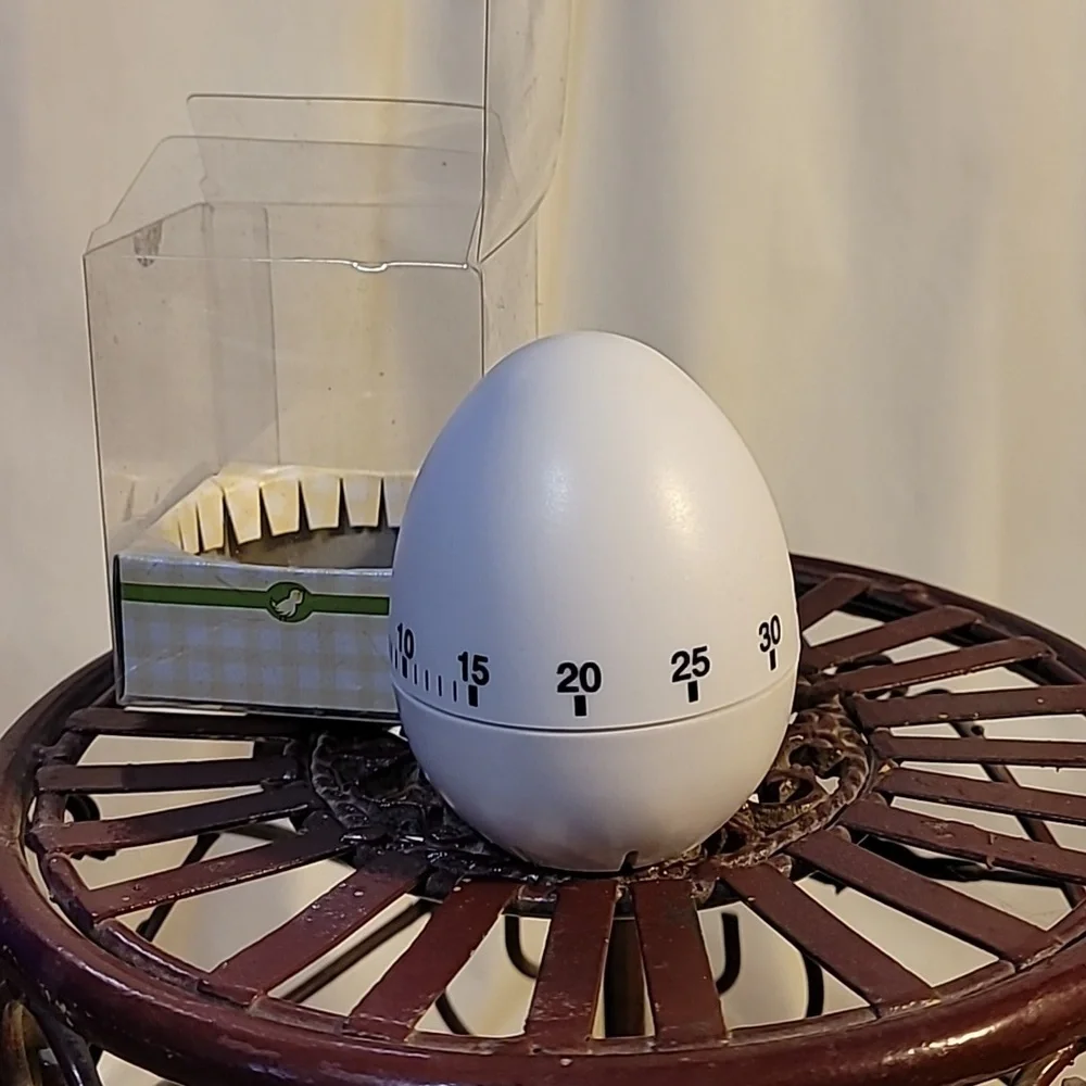 Egg Timer Kitchen
